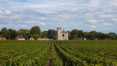 Bourgogne Tips met kinderen kids