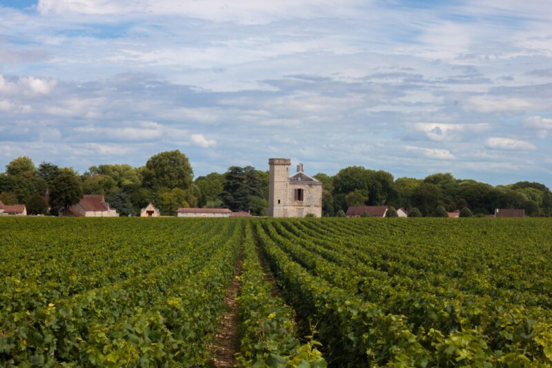 Bourgogne Tips met kinderen kids