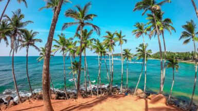Sri Lanka kindvriendelijk