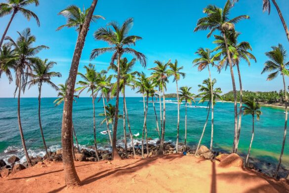 Sri Lanka kindvriendelijk