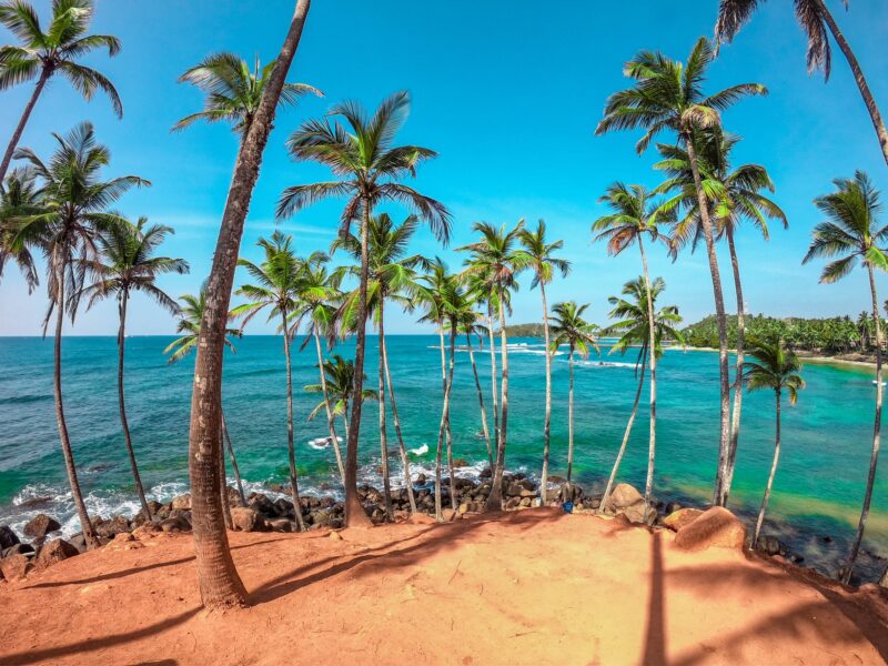 Sri Lanka kindvriendelijk